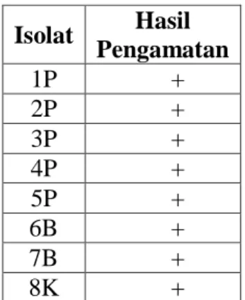 Tabel 7. Hasil pengamatan uji katalase  isolat sedimen pantai, sedimen pantai 