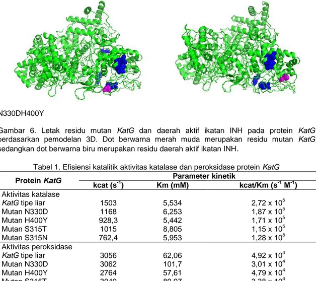 Gambar  6.  Letak  residu  mutan  KatG  dan  daerah  aktif  ikatan  INH  pada  protein  KatG  berdasarkan  pemodelan  3D