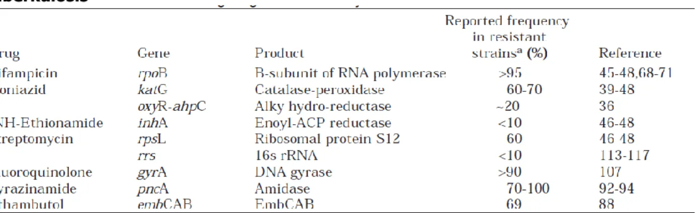 Tabel  1.  Lokus  gen  yang  terlibat  dalam  resistensi  obat  pada  mikobakterium  tuberkulosis 