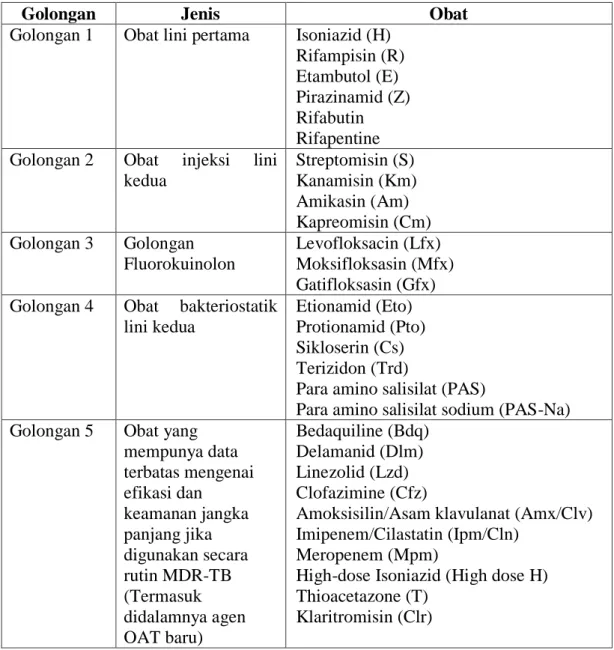 Tabel 2.1  Pengelompokan OAT (Sumber: WHO guidelines for the programmatic     management of drug-resistant tuberculosis, 2014) 