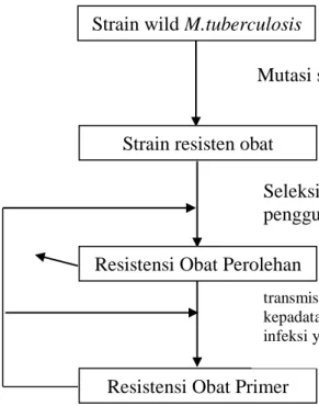 Gambar 2.1   Konsep perkembangan resistensi OAT (dimodifikasi dari sumber :  Zhang dan Yew, 2009) 