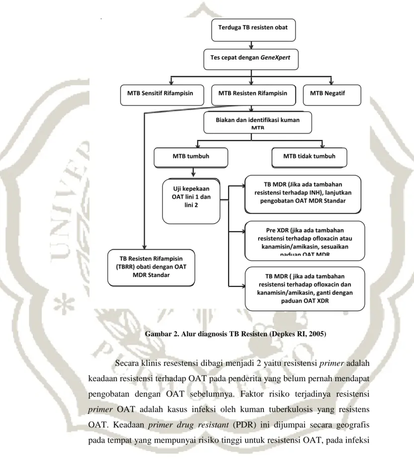 Gambar 2. Alur diagnosis TB Resisten (Depkes RI, 2005) 