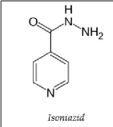 Gambar 2.3 Struktur Isoniazid (Kolyva and Karakousis, tt) 
