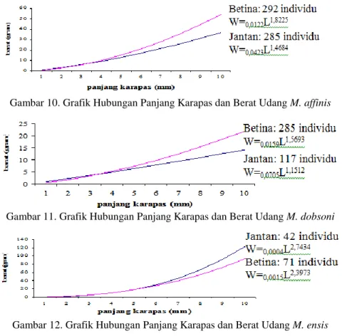 Gambar 10. Grafik Hubungan Panjang Karapas dan Berat Udang M. affinis 