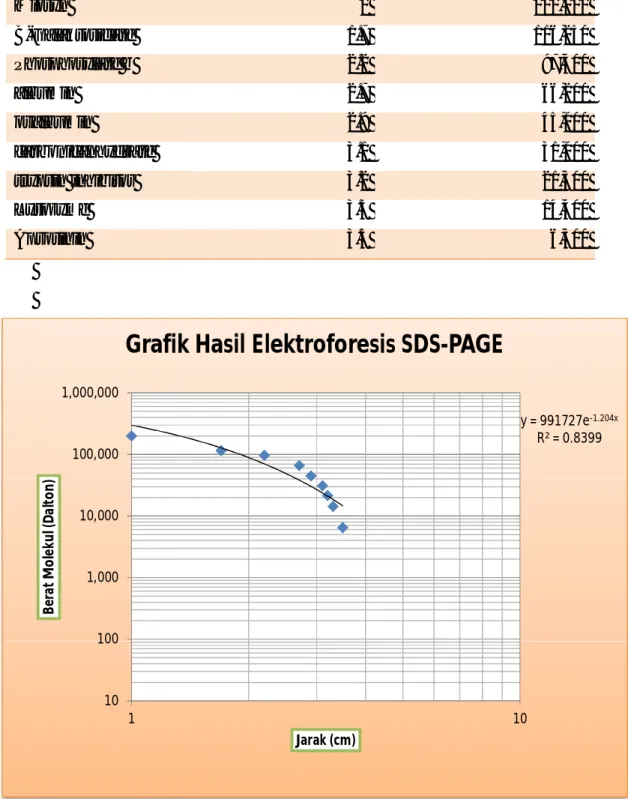 Gambar 2. Grafik Jarak dan Berat Molekul Hasil Elektroforesis SDS-PAGE 