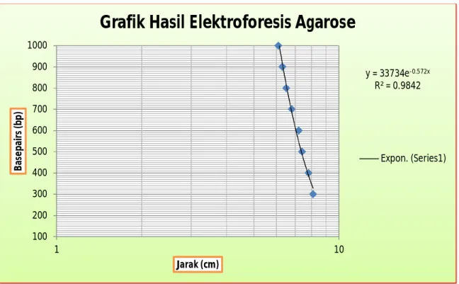 Gambar 2. Grafik Jarak vs Basepairs Hasil Elektroforesis Agarose Marker  