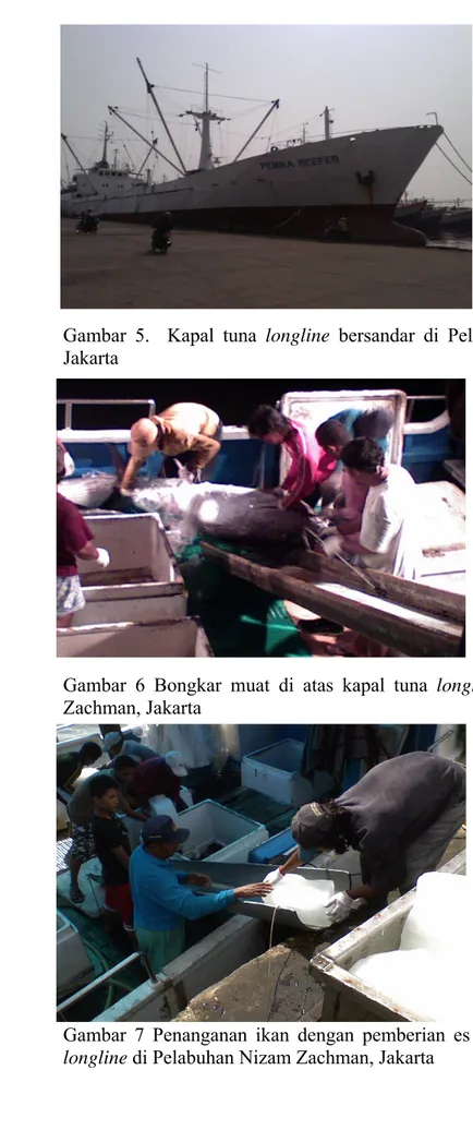Gambar 5.  Kapal tuna longline bersandar di Pelabuhan Nizam Zachman,  Jakarta 