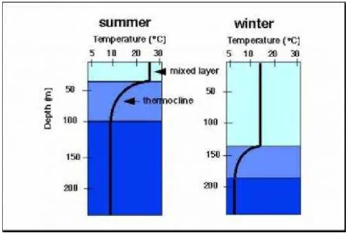 Gambar 4. Sebaran suhu vertikal (sumber : http://www.coexploration.org)  Harsono  (2012)  juga  menjelaskan  bahwa  wilayah  kedalaman  yang  hampir  seragam  secara  vertikal  ini  disebabkan  oleh  proses  turbulensi  yang  dibangkitkan  energi  yang  be