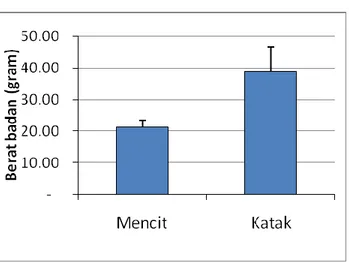 Gambar  2.  Perbandingan  berat  badan  mencit  (Mus  musculus)  dan  katak  (Rana  sp.)  Batang  galat menunjukkan 1 standar deviasi (SD).