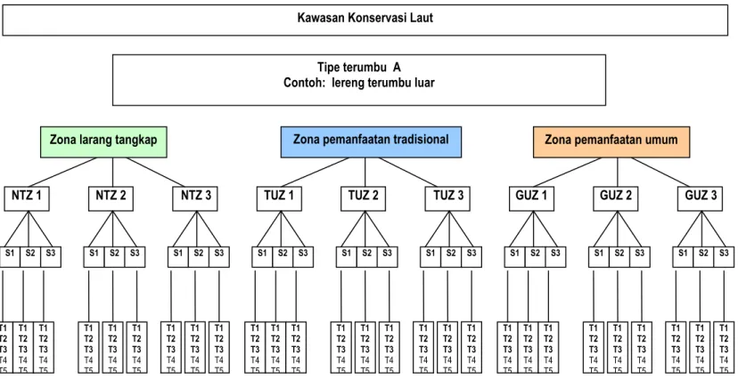 Gambar 1: Contoh rancangan hirarki pengambilan data untuk penilaian kuantitatif komunitas bentik dan ikan di satu tipe  terumbu dalam KKL