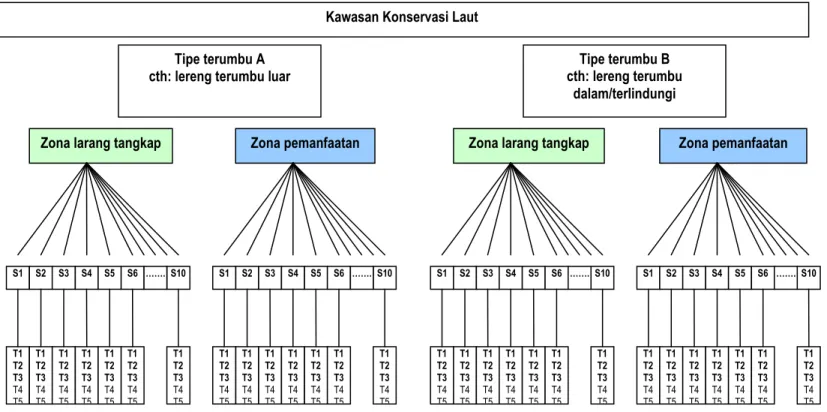 Gambar 3: Contoh rancangan pengambilan data untuk penilaian kuantitatif komunitas bentik dan ikan pada dua tipe  terumbu dalam KKL