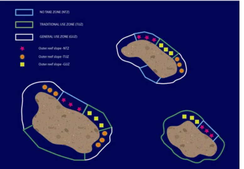 Gambar 4: Contoh pengaturan untuk rancangan pengambilan data yang mungkin bagi satu tipe habitat dan tiga tipe zona  (larang tangkap, pemanfaatan tradisional dan pemanfaatan umum) dalam suatu KKL terumbu karang
