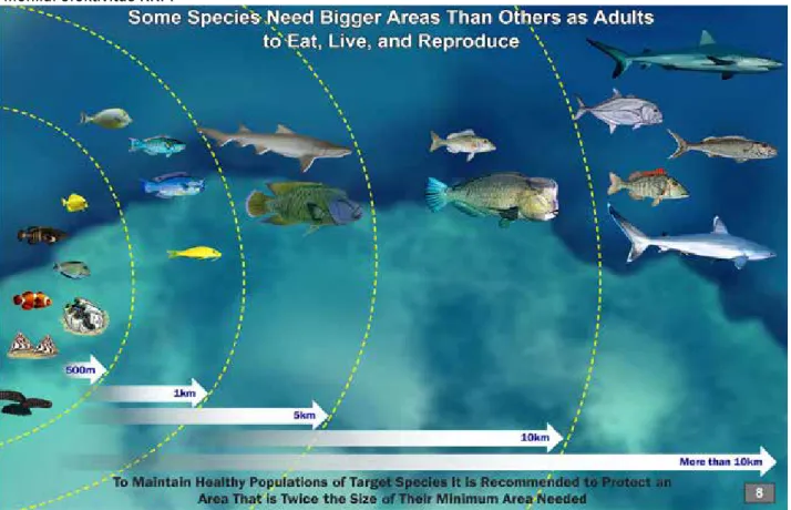 Gambar 9. Ikan terumbu dan pesisir-pelagis memiliki besar daerah jelajah yang berbeda-