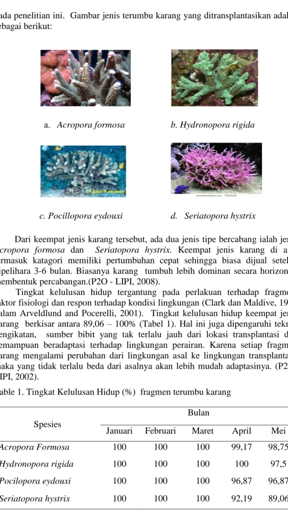 Table 1. Tingkat Kelulusan Hidup (%)  fragmen terumbu karang 