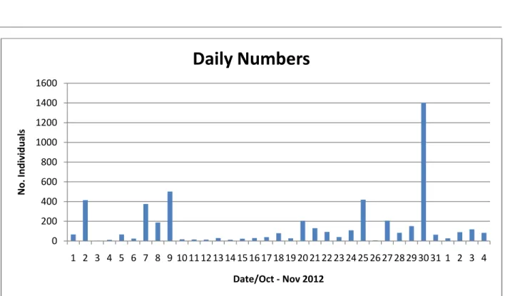 Figure 2. Daily numbers of all migrant raptors at rupat island during autumn periods.