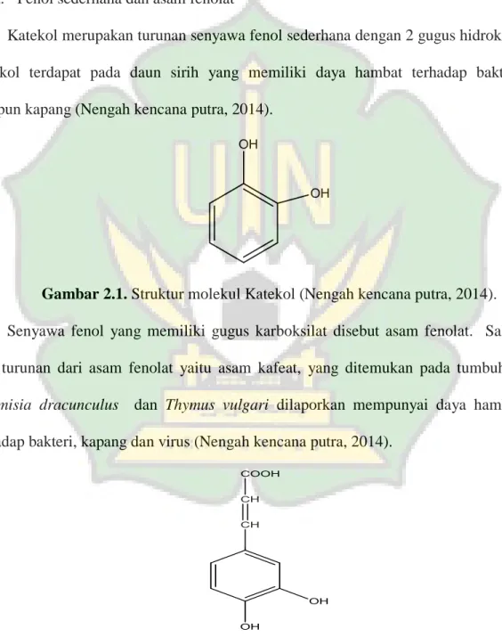 Gambar 2.1. Struktur molekul Katekol (Nengah kencana putra, 2014). 