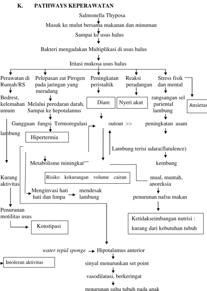 Gambar 2.1 Pathways Keperawatan               Diare        Nyeri akut 