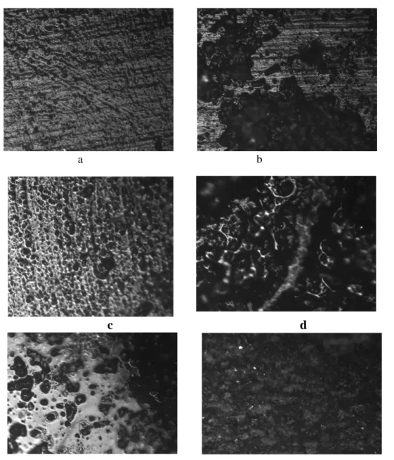 Gambar 9. tampilan mikrografi makro sempel dengan kondisi rapat (a,b), Porositas (c,d), dan  tampilan mediaum (edan f)
