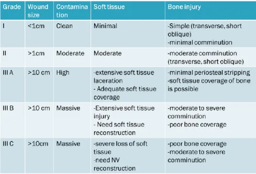 Tabel Gustilo and Anderson Classification of Open Fracture: 
