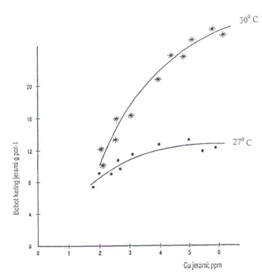 Gambar V.1.  Hubungan antara bobot kering jerami dan Cu jerami tanaman  gandum yang ditanam pada dua suhu percobaan selama 6 minggu.