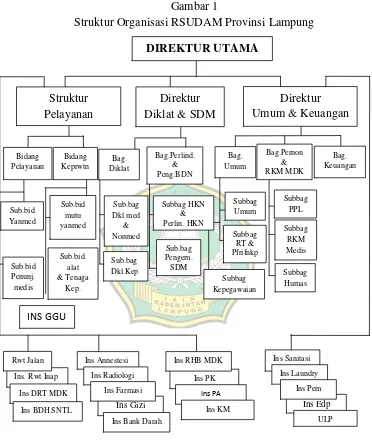 Gambar 1 Struktur Organisasi RSUDAM Provinsi Lampung 