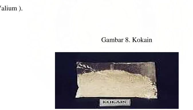 Gambar 8. Kokain 