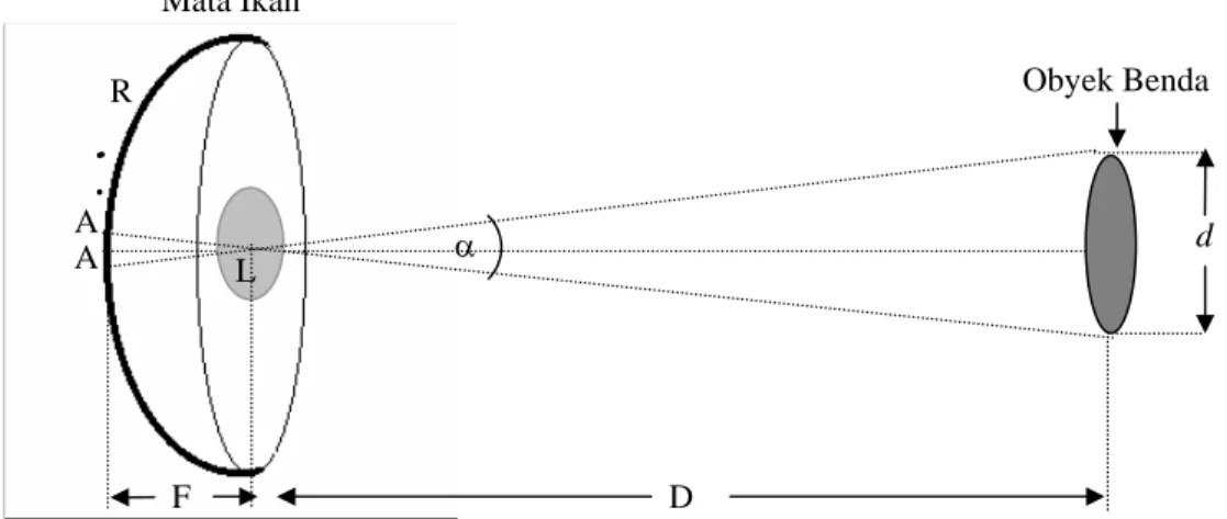 Gambar 2. Konsep perhitungan jarak pandang maksimum 