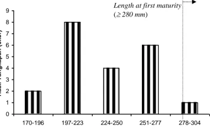 Gambar  76  Komposisi  panjang  kerapu  macan  (Epinephelus  fuscoguttatus)  hasil  tangkapan  
