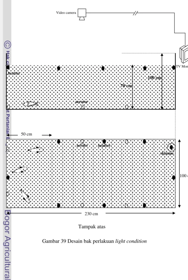Gambar 39 Desain bak perlakuan light condition 