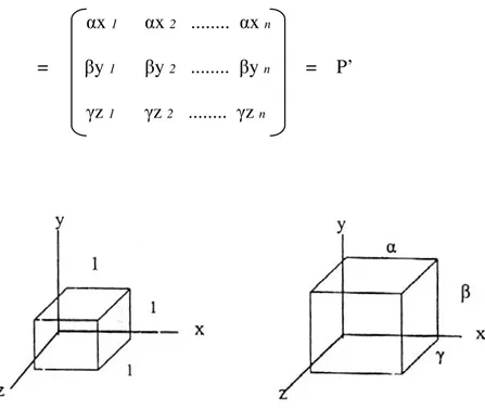 Gambar 3.8 penskalaan (scale) pada kubus 