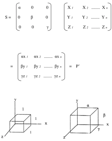 Gambar 3.8 penskalaan (scale) pada kubus 