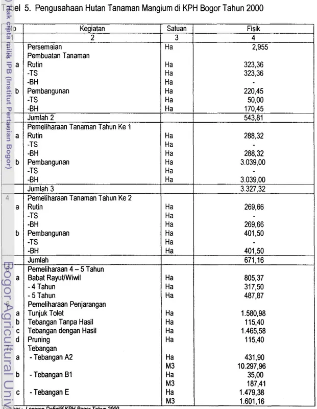 Tabel  5.  Pengusahaan Hutan Tanarnan Mangium di KPH Bogor Tahun 2000 