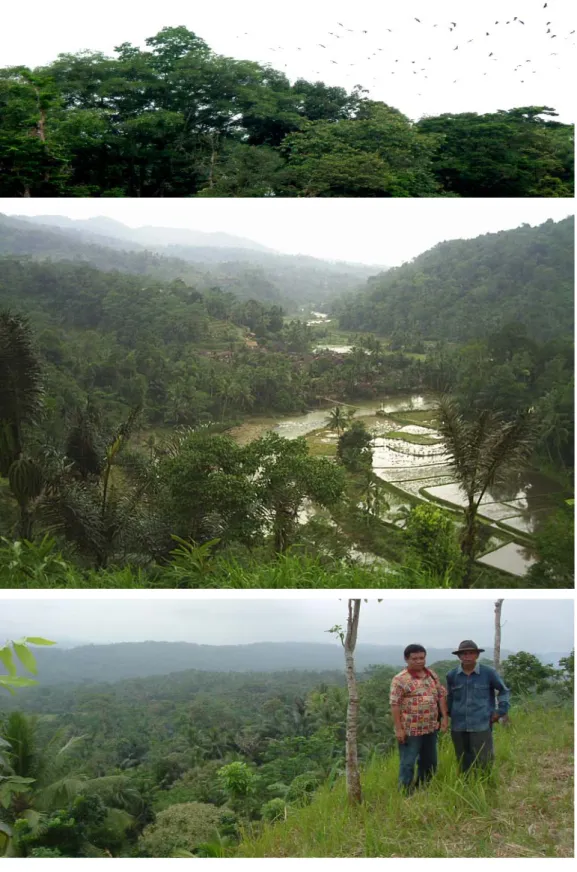 Gambar 1. Tiga pemandangan tutupan lahan hutan rakyat cukup baik di  daerah datar dan berbukit  dengan topografi berat