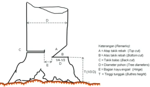 Gambar 4. Ukuran teknis takik tebang dan takik balas Figure 4. Technical measure of under cut and back cutSumber ; Ward E, 2011