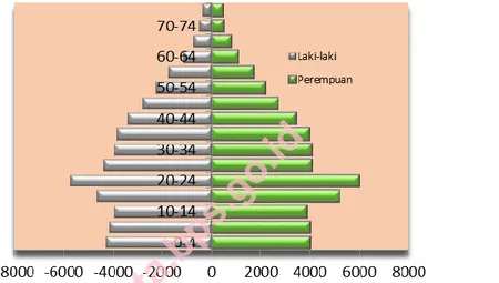 Grafik 3.1 Piramida Penduduk Telanaipura Menurut Kelompok Umur 2014  Graph 3.1 Population Pyramid of Telanaipura  by Age Groups 2014 
