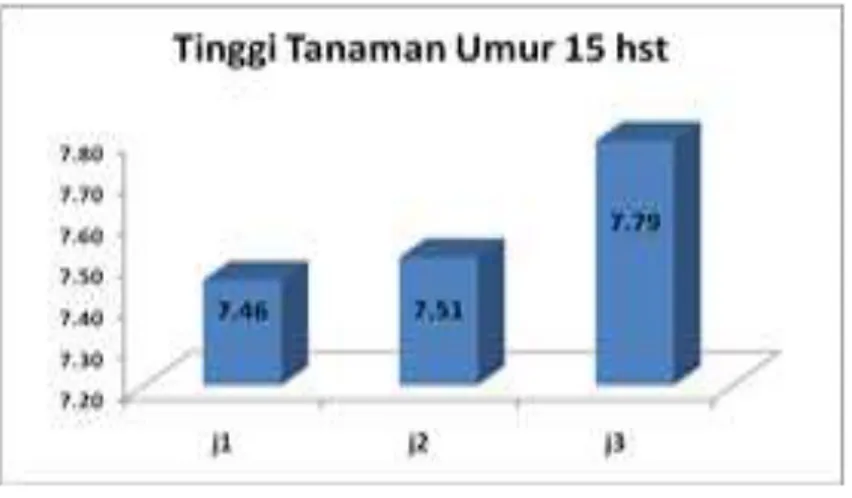 Gambar 1. Diagram rata-rata hasil pengamatan tinggi tanaman kangkung pada umur 15 hst 