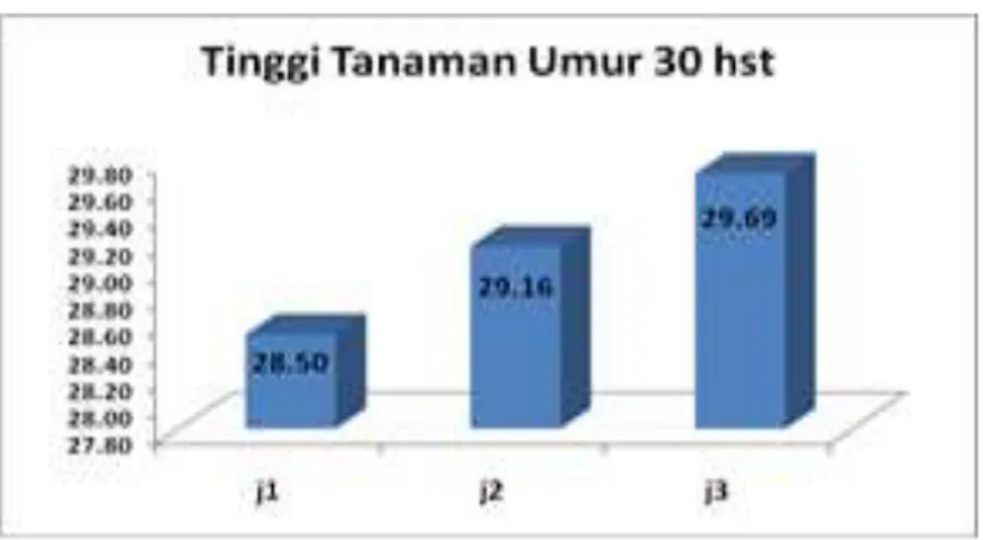 Gambar 2. Diagram rata-rata hasil pengamatan tinggi tanaman kangkung pada umur 30 hst 