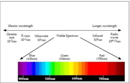 Gambar 2.1: Visible Spectrum