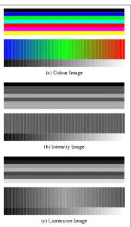 Gambar 2.8: Image (a) shows a colour test pattern, consisting of horizontal stripes of black, blue, green, cyan, red, magenta and yellow, a colour ramp with constant intensity, maximal saturation, and hue changing linearly from red through green to blue, a