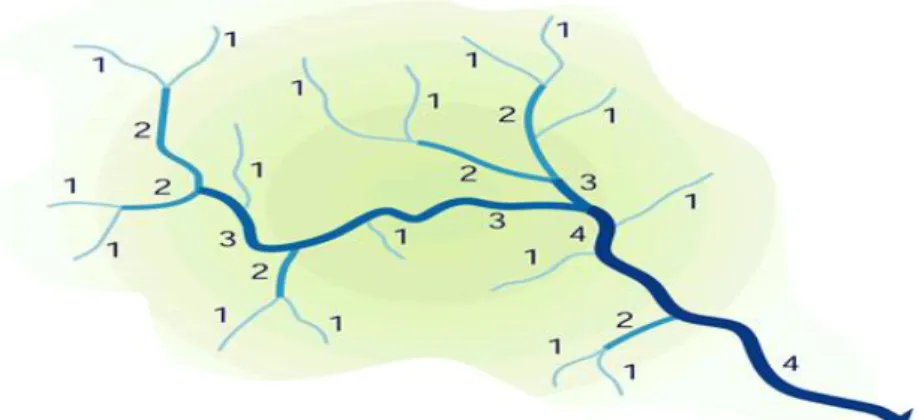 Gambar 1. Jaringan Sungai dan Tingkatannya 