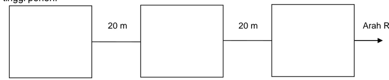 Gambar 1. Penempatan petak ukur secara sistematik  Figure 1. Placement of plots systematically  4