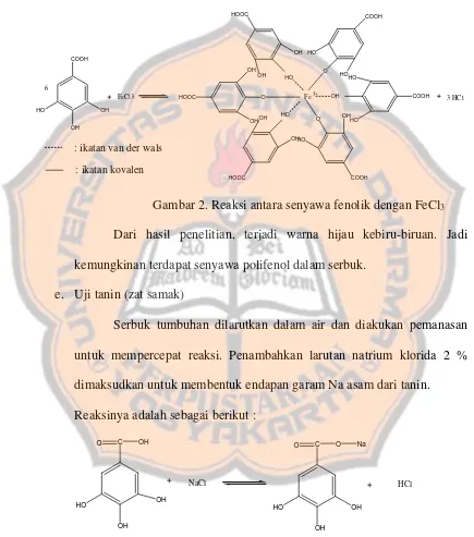 Gambar 2. Reaksi antara senyawa fenolik dengan FeCl3