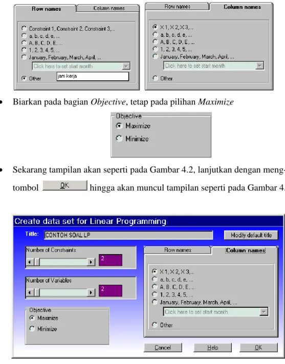 Gambar 4.2 Tampilan modul Linear Programming setelah beberapa pilihan diisikan 