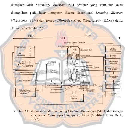 Gambar 2.8. Skema dasar dari Scanning Electron Microscope (SEM) dan Energy Dispersive X-ray Spectroscopy (EDXS) (Modified from Beck, 
