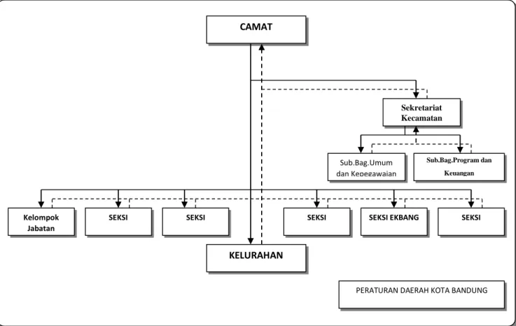 Gambar 2.1   Bagan struktur organisasi Kecamatan 