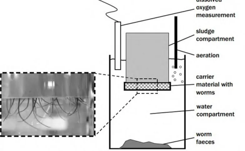 Gambar 2.6 Sketsa Reaktor Cacing untuk Reduksi Lumpur  Sumber:  Elissen et al., 2006 