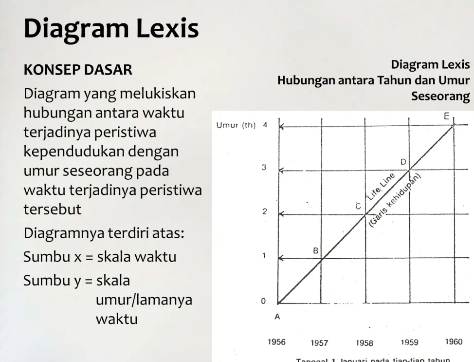 Diagram Lexis 