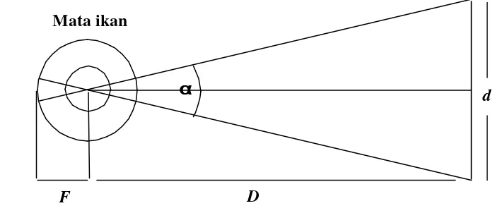 Gambar  7  Skema perhitungan jarak pandang maksimum 