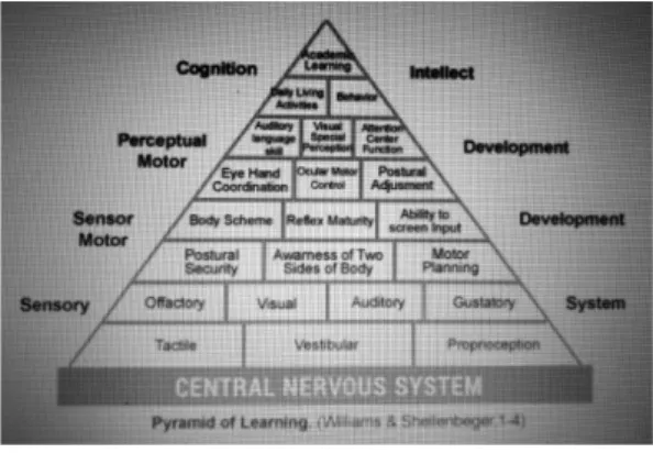 Gambar 1. Pyramid of Learning  William &amp; Shelenbeger 