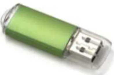 Gambar 2.12. Flash Disk  